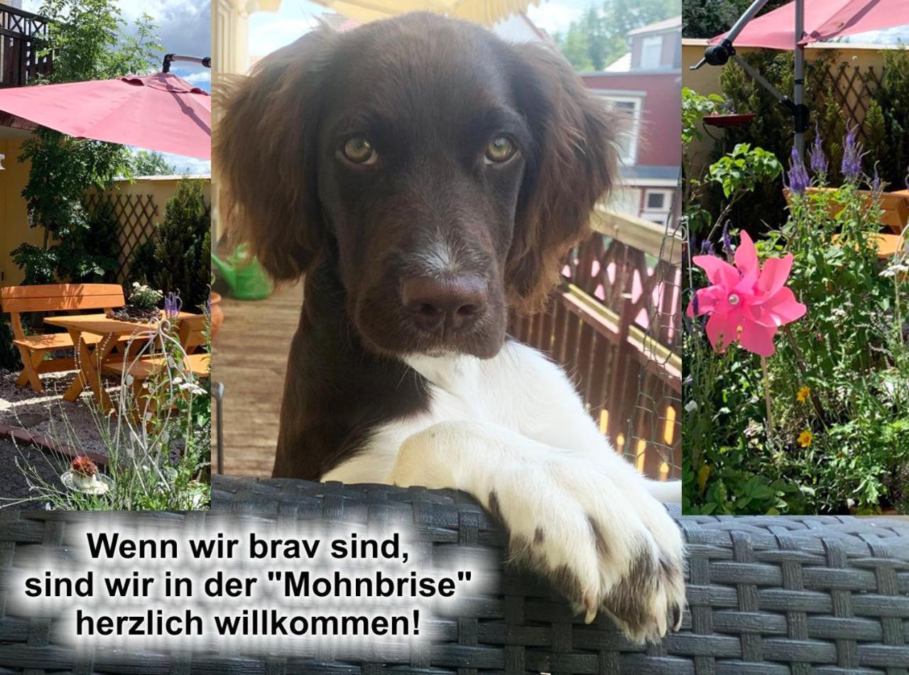 Ferienwohnung Mohnbrise Germerode Buitenkant foto